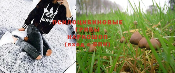 скорость Краснослободск