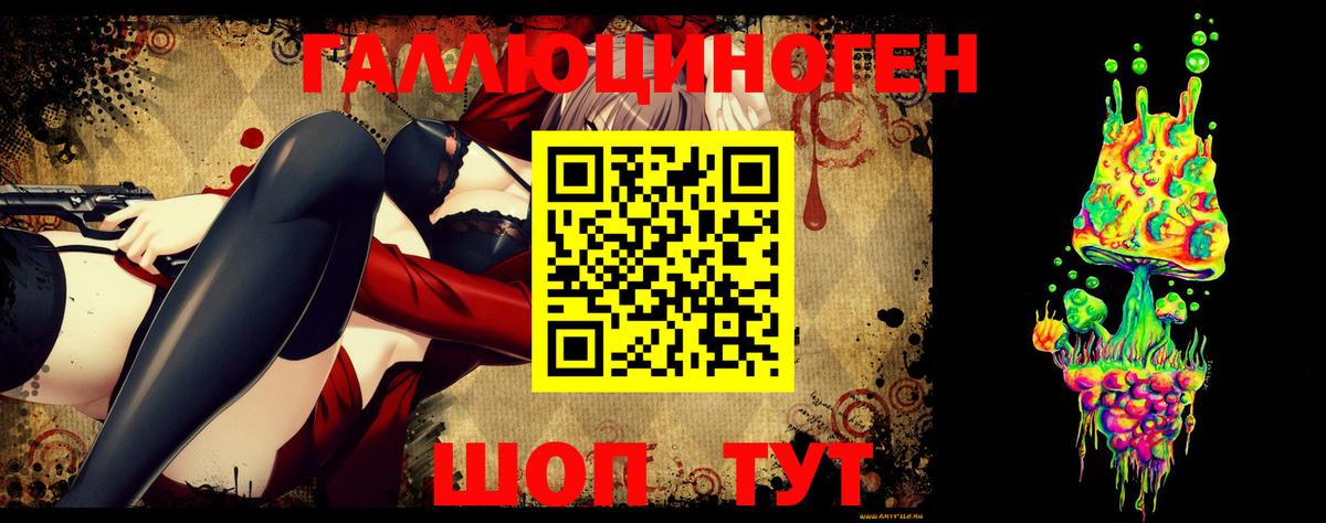 Костомукша  Псилоцибиновые грибы Psilocybe  Вход с VPN 