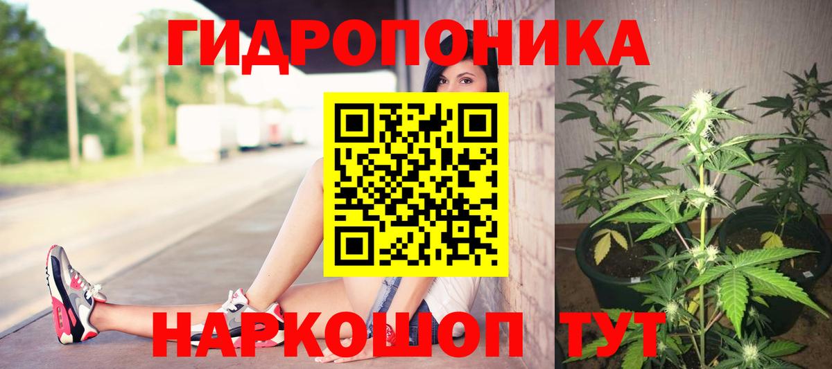 Марихуана OG Kush Костомукша